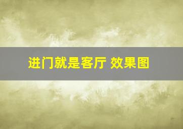 进门就是客厅 效果图